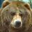 bearman